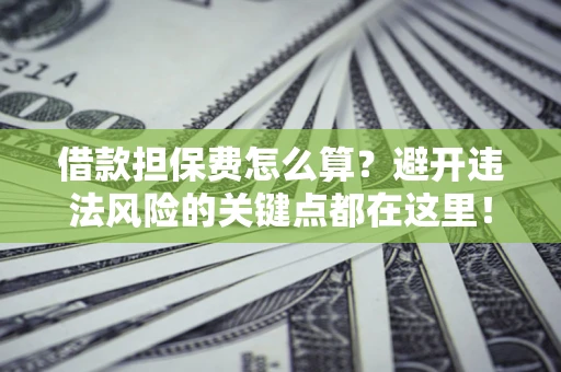 济南借款担保费怎么算？避开违法风险的关键点都在这里！