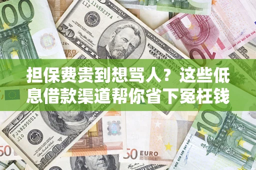 济南担保费贵到想骂人？这些低息借款渠道帮你省下冤枉钱