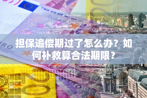 济南担保追偿期过了怎么办？如何补救算合法期限？