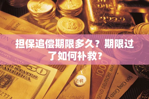 济南担保追偿期限多久？期限过了如何补救？