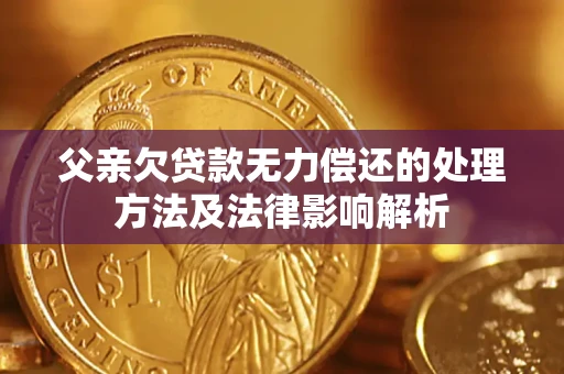 济南父亲欠贷款无力偿还的处理方法及法律影响解析