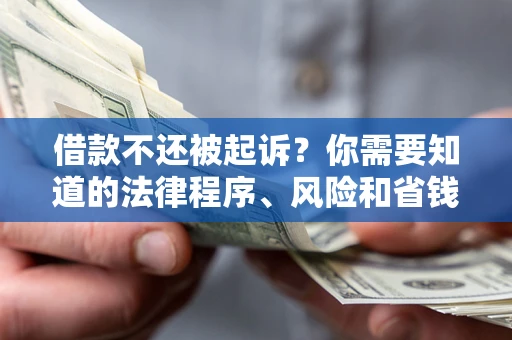 济南借款不还被起诉？你需要知道的法律程序、风险和省钱技巧
